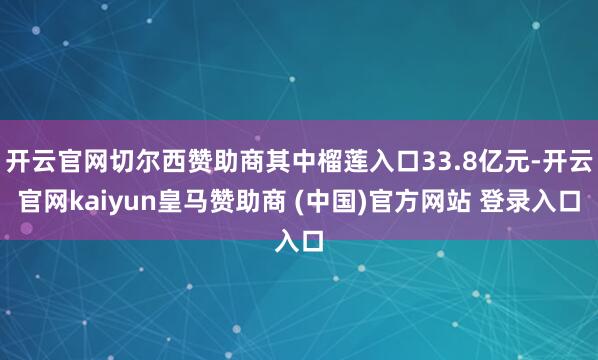开云官网切尔西赞助商其中榴莲入口33.8亿元-开云官网kaiyun皇马赞助商 (中国)官方网站 登录入口